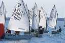 optmist2006_25