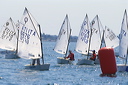 optmist2006_27