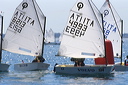 optmist2006_29