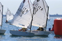 optmist2006_30