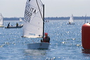 optmist2006_31