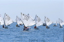 optmist2006_35