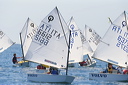 optmist2006_37