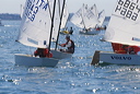 optmist2006_44