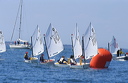 optmist2006_49
