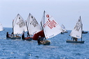 optmist2006_5
