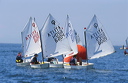 optmist2006_50