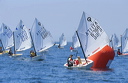 optmist2006_51