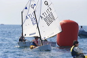 optmist2006_57