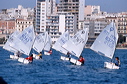 optmist2006_6