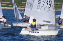 optmist2006_60