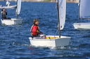optmist2006_62