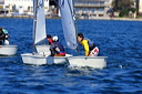 optmist2006_73