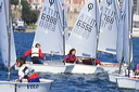 optmist2006_76