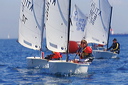 optmist2006_79