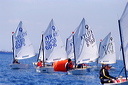 optmist2006_80