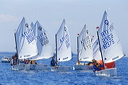 optmist2006_81