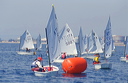 optmist2006_95
