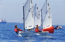 optmist2006_98