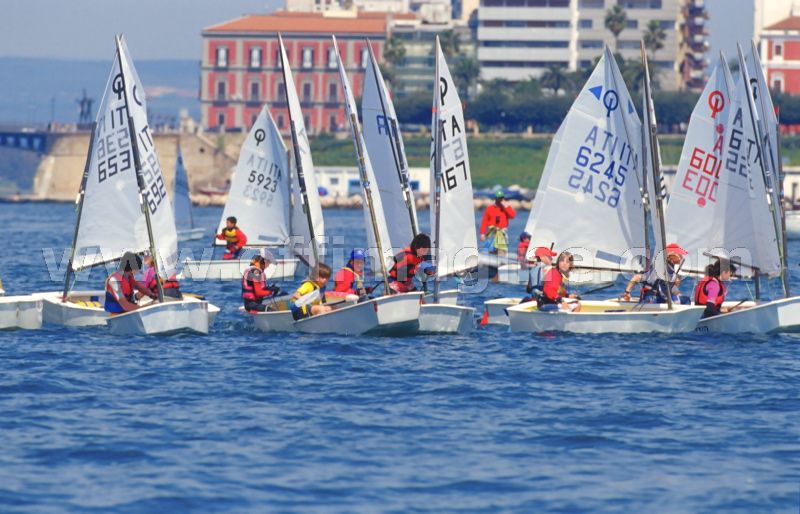 optmist2006_100.jpg