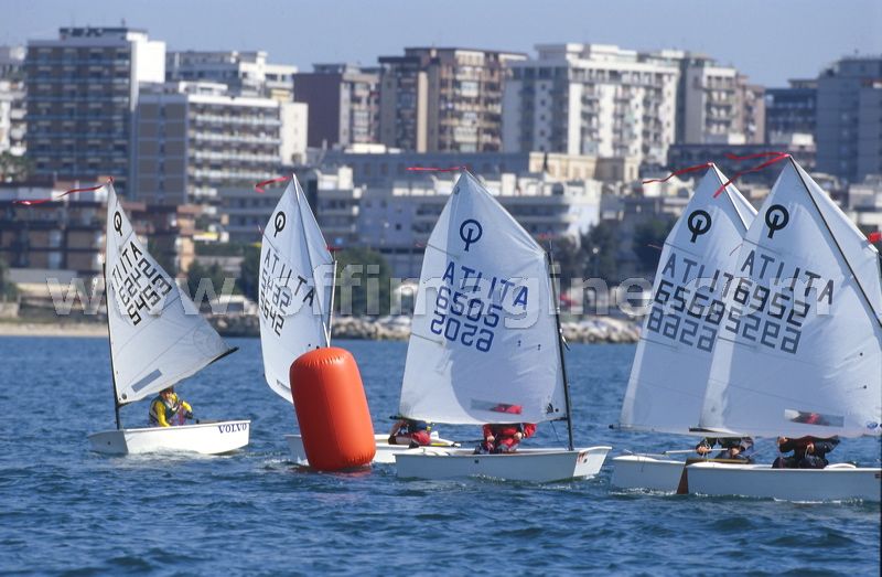 optmist2006_11.jpg