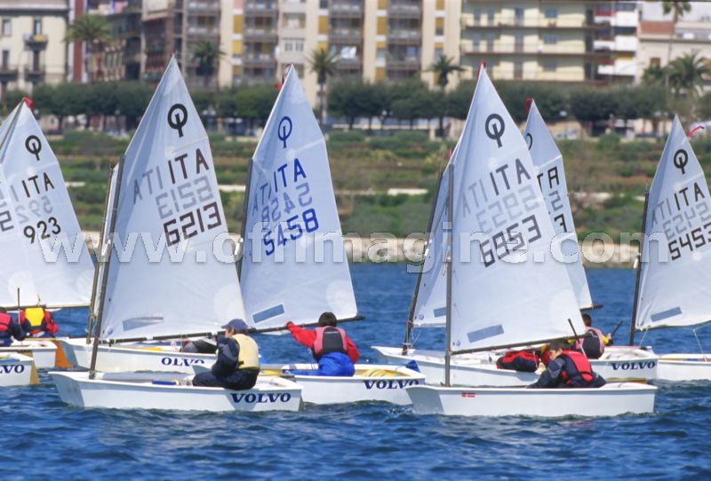 optmist2006_113.jpg