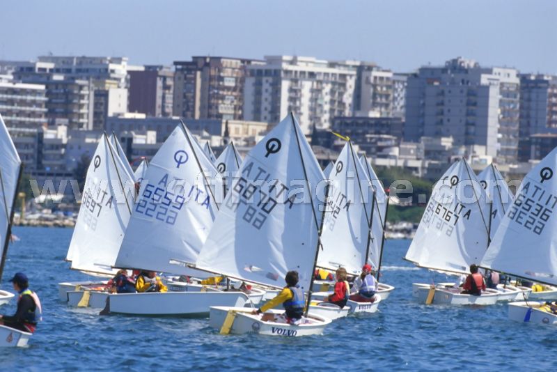 optmist2006_123.jpg