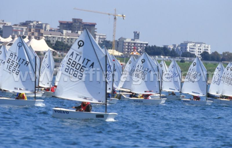 optmist2006_124.jpg