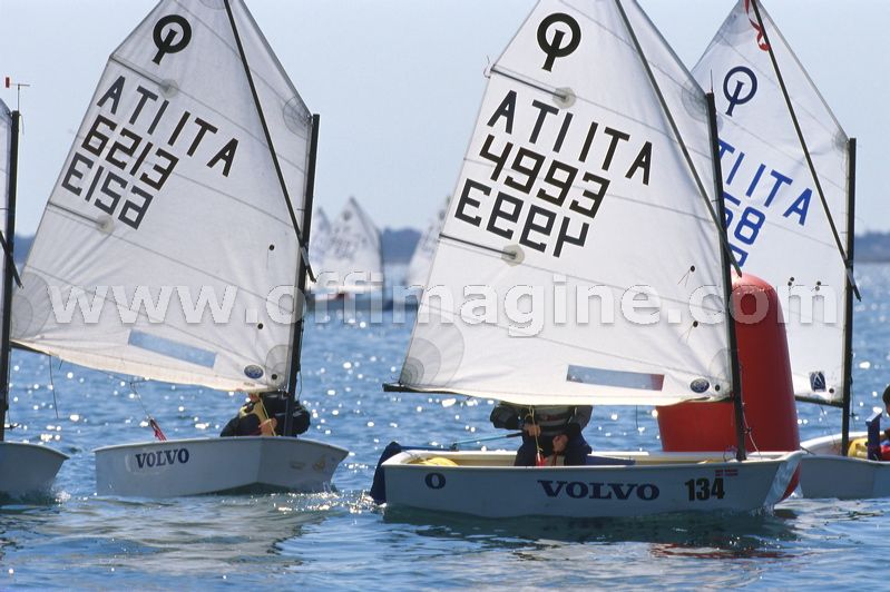 optmist2006_29.jpg