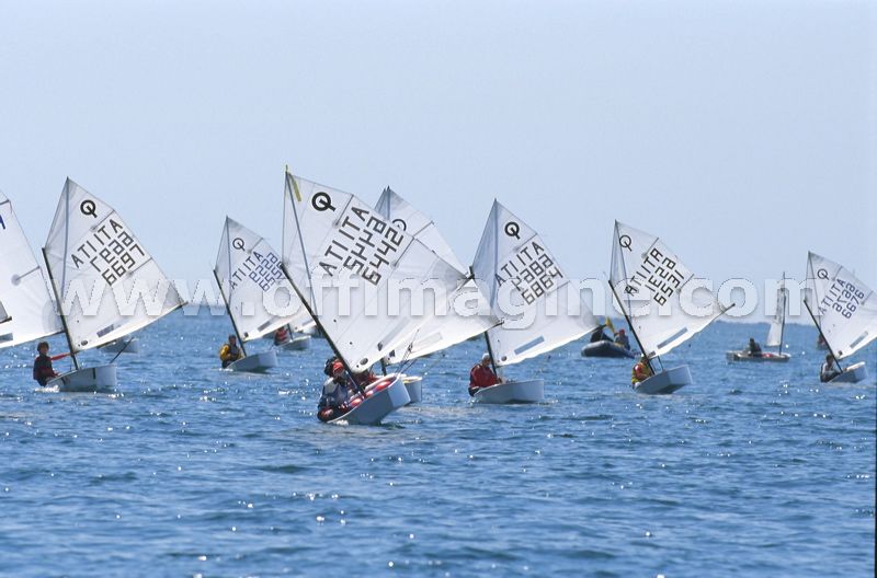 optmist2006_35.jpg