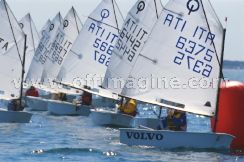 optmist2006_39.jpg