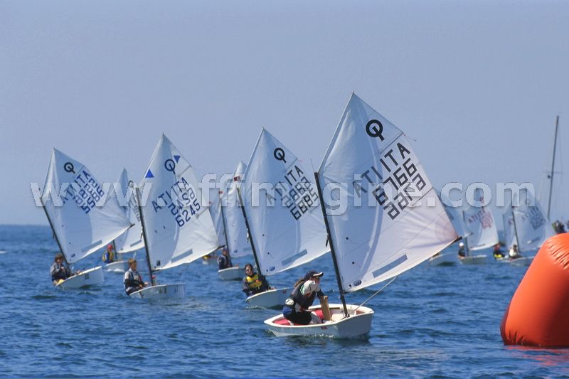 optmist2006_45.jpg