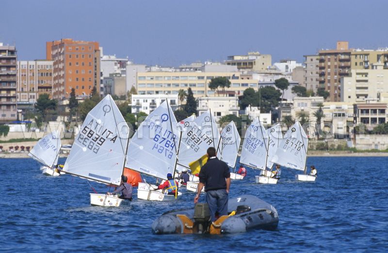 optmist2006_59.jpg