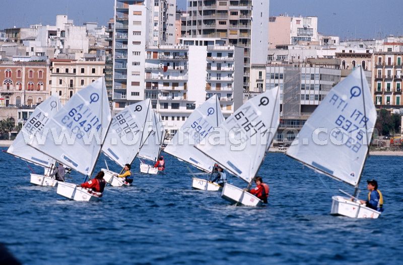 optmist2006_6.jpg