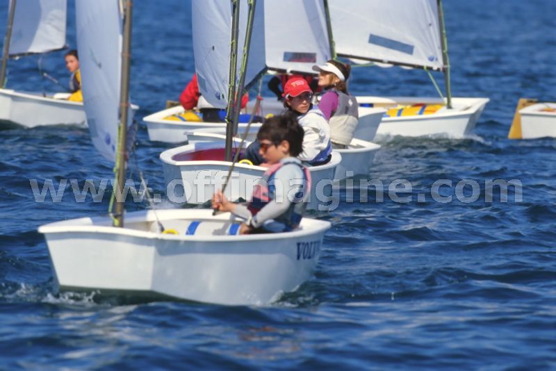 optmist2006_77.jpg