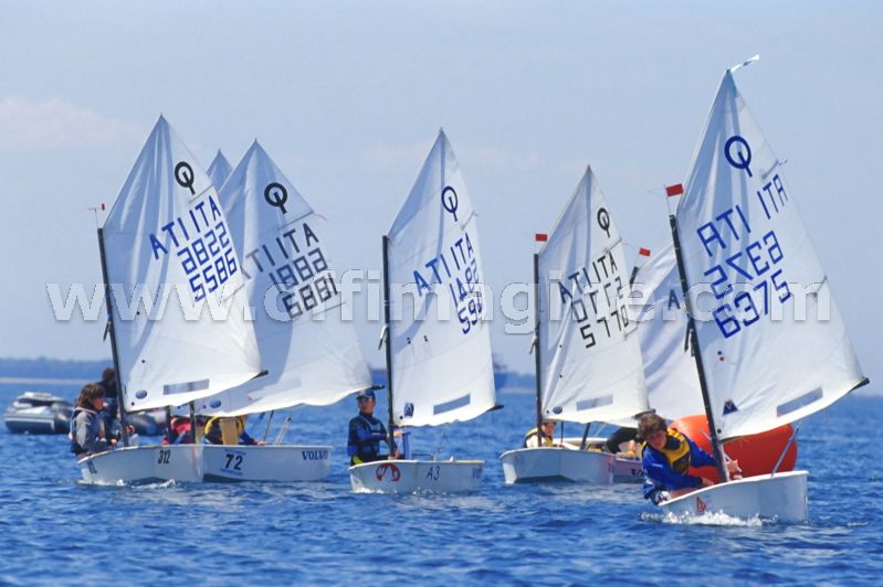 optmist2006_81.jpg