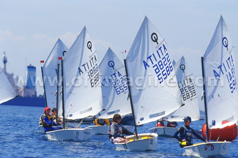 optmist2006_82.jpg
