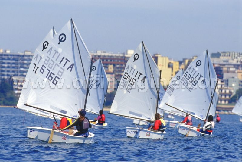 optmist2006_84.jpg