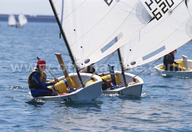 optmist2006_9.jpg