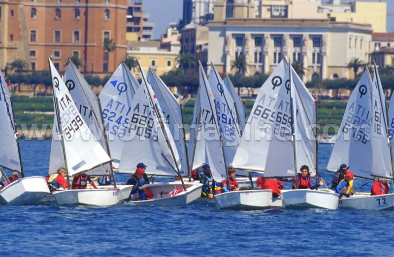 optmist2006_99.jpg