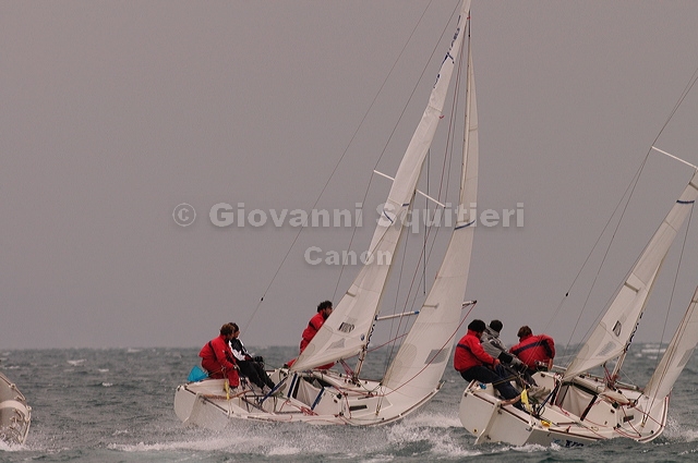 dsc_0082.jpg